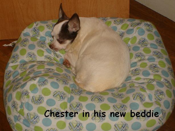 chesterbed.jpg